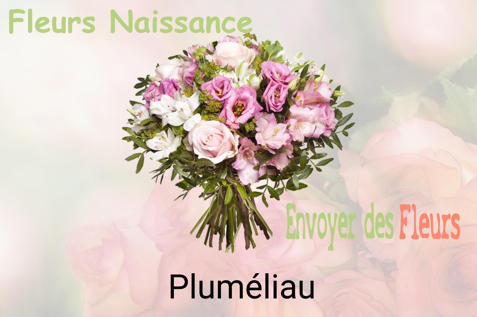 Bouquet de fleurs de naissance livré à Pluméliau