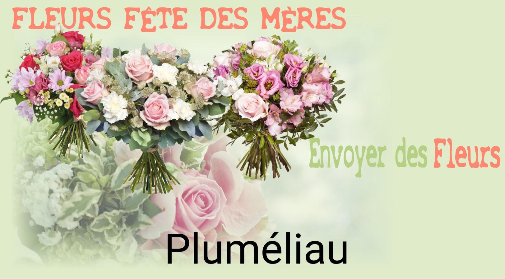 Bouquet de Fête des Mères livré à Pluméliau
